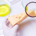 Wegański ser z Wrocławia podbije Europę? Nadchodzi kulinarna rewolucja