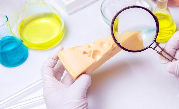 Wegański ser z Wrocławia podbije Europę? Nadchodzi kulinarna rewolucja