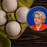 ​Wegański zamiennik jajek. Katarzyna Bosacka zdradza, czy warto je kupić