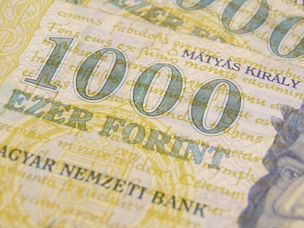 Węgierski bank centralny przerabia zużyte banknoty na brykiety do ogrzewania biednych instytucji /&copy; Panthermedia