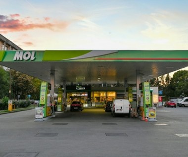 Węgierski koncern MOL chce sprzedać część aktywów, aby przejąć stacje OMV w Słowenii