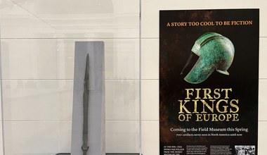 Węgierski miecz miał być repliką. Okazało się, że ma 3 tysiące lat!