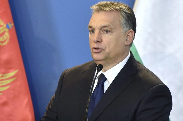 Węgierski premier Viktor Orban podczas spotkania w parlamencie w Budapeszcie /ZOLTAN MATHE /PAP/EPA