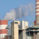 Węglowe bloki będą wciąż pracować. "Decyzja po pogłębionej analizie" 