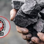 RARS Węglowy przekręt za pół miliarda? CBA zatrzymuje ws. zakupów RARS