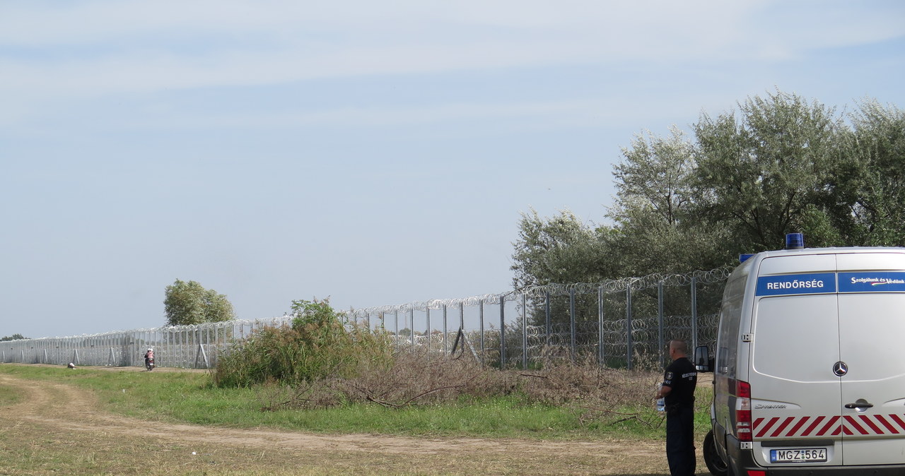 Węgry: Uchodźcy gromadzą się przy granicy w Roszke