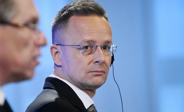 Węgry wyłamują się ws. Grenlandii. "Kwestia dwustronna"