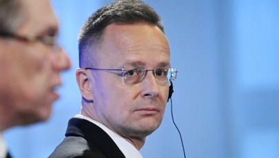 Węgry wyłamują się ws. Grenlandii. "Kwestia dwustronna"