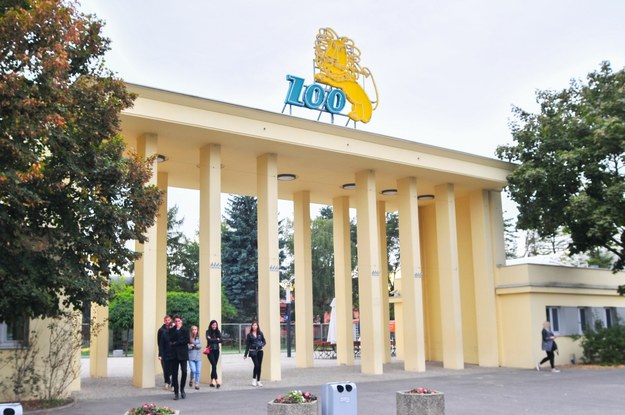 Wejście do wrocławskiego zoo /Shutterstock