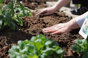 Wellbeing gardening. Ten nowy trend opanował sieć