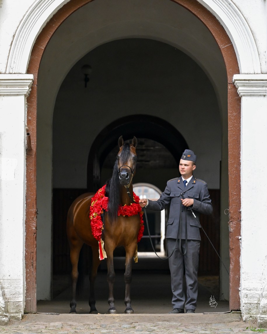 Wencedora /Stuart Vesty /