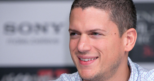 Wentworth Miller oficjalnie ogłosił, że jest gejem i tym samym zakończył spekulacje na temat jego orientacji seksualnej. /Kiyoshi Ota /Getty Images