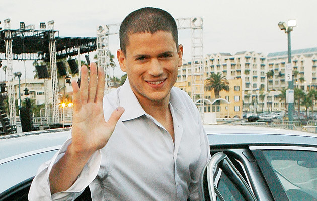 Wentworth Miller /Getty Images