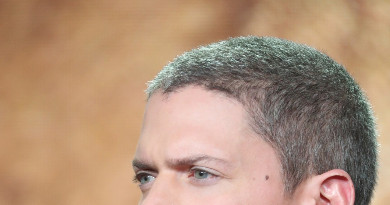 Wentworth Miller /Getty Images