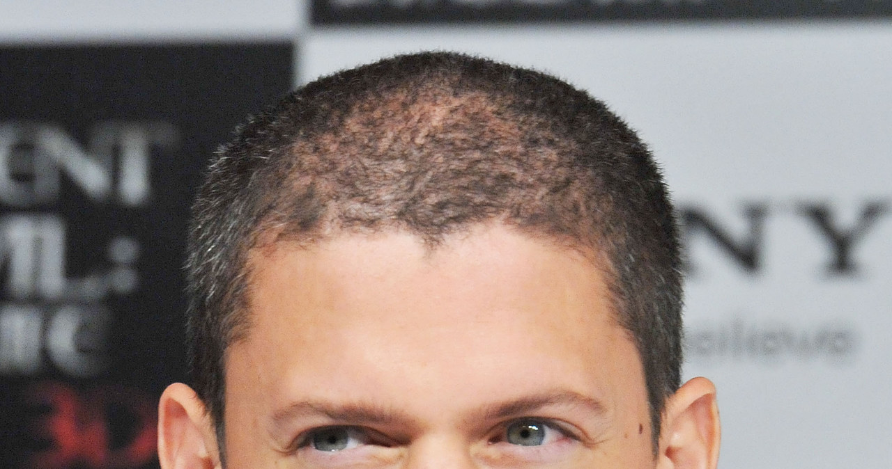 Wentworth Miller /Jun Sato / Contributor /Getty Images