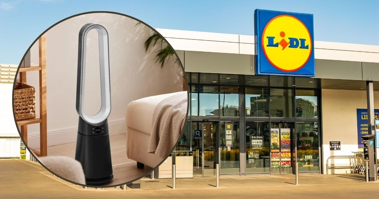 Wentylatory bezłopatkowe w Lidlu /adobestock/Lidl /INTERIA.PL
