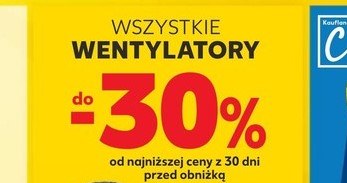 Wentylatory do 30% taniej w Kauflandzie! /Kaufland /INTERIA.PL