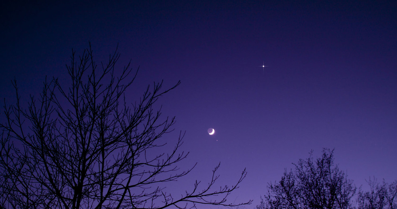 Wenus można łatwo namierzyć na nocnym niebie /123RF/PICSEL