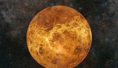 Wenus zaskakuje naukowców. Nowy model geologii planety