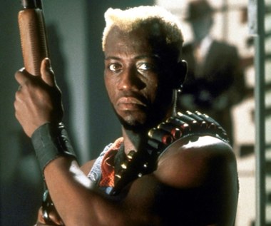 Wesley Snipes: Hollywood jest dla białych 