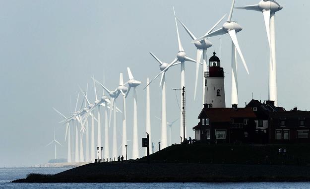 Westermeerwind to nowa wiatrowa farma w Urk w Holandii /EPA
