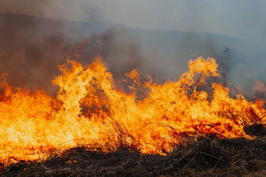 Nawet 30 tys. zł grzywny. Przepisy zostały zaostrzone