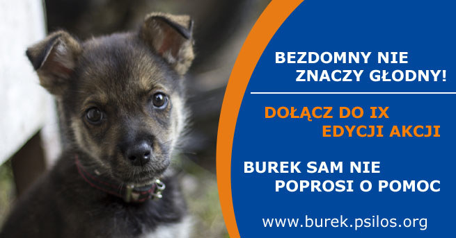 Weź udział w akcji "Burek sam nie poprosi o pomoc" /123RF/PICSEL