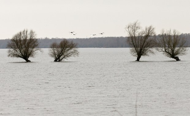 Wezbrane rzeki. Ostrzeżenia dla siedmiu województw