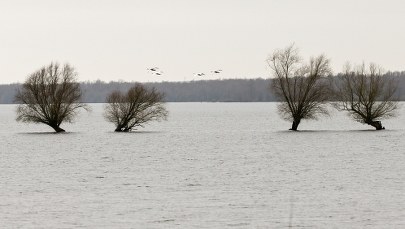 Wezbrane rzeki. Ostrzeżenia dla siedmiu województw