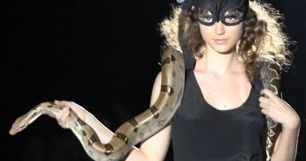 Węże są często przedmiotami fobii /AFP