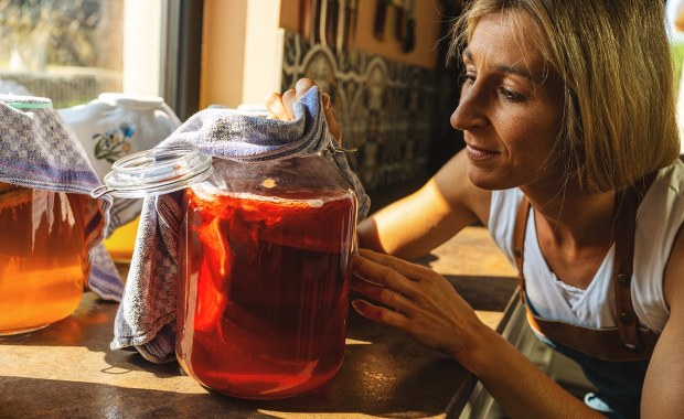 Wgraj ten "kod" do słoika. Naukowcy zbadali, która kombucha działa najlepiej 