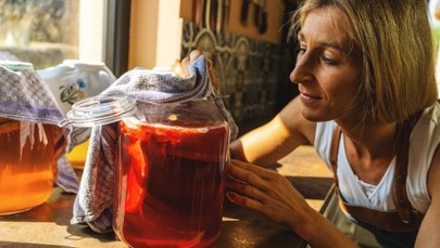 Wgraj ten "kod" do słoika. Naukowcy zbadali, która kombucha działa najlepiej 