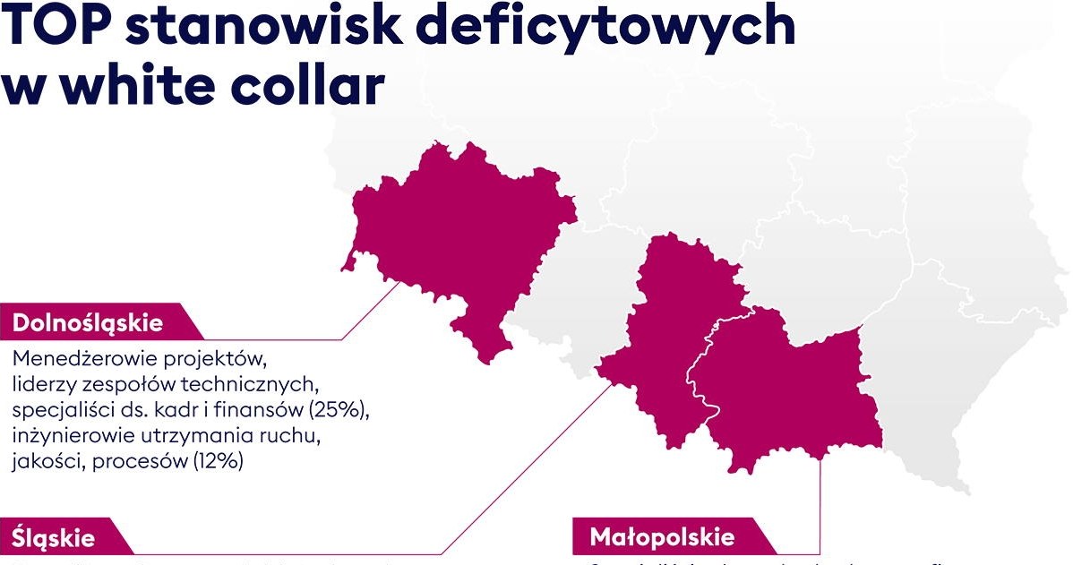 White collar – deficyty w księgowości, inżynierii, zarządzaniu /materiały promocyjne