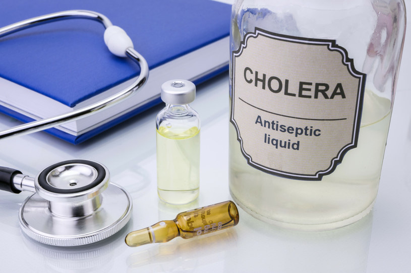 WHO: cholera może być kolejną chorobą, która może wywołać globalną pandemię /East News