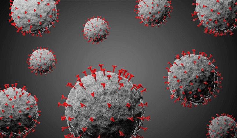 WHO nie wie, jak długo jesteśmy odporni na ponowne zachorowanie na COVID-19 /123RF/PICSEL