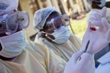 WHO ostrzega przed epidemią eboli. Ma zasięg międzynarodowy