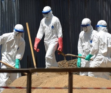 WHO: Ponad 8 tys. ofiar śmiertelnych eboli