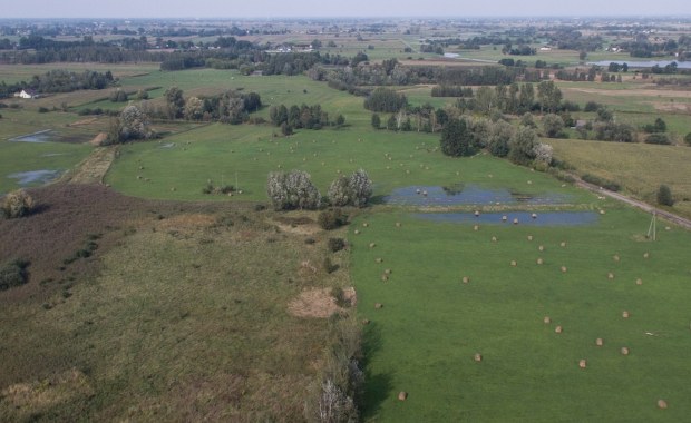 Wiadomo, kiedy ruszy budowa superlotniska. Koszty będą "gigantyczne"