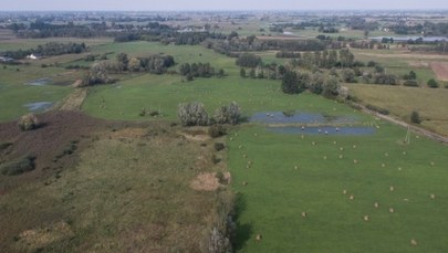 Wiadomo, kiedy ruszy budowa superlotniska. Koszty będą "gigantyczne"