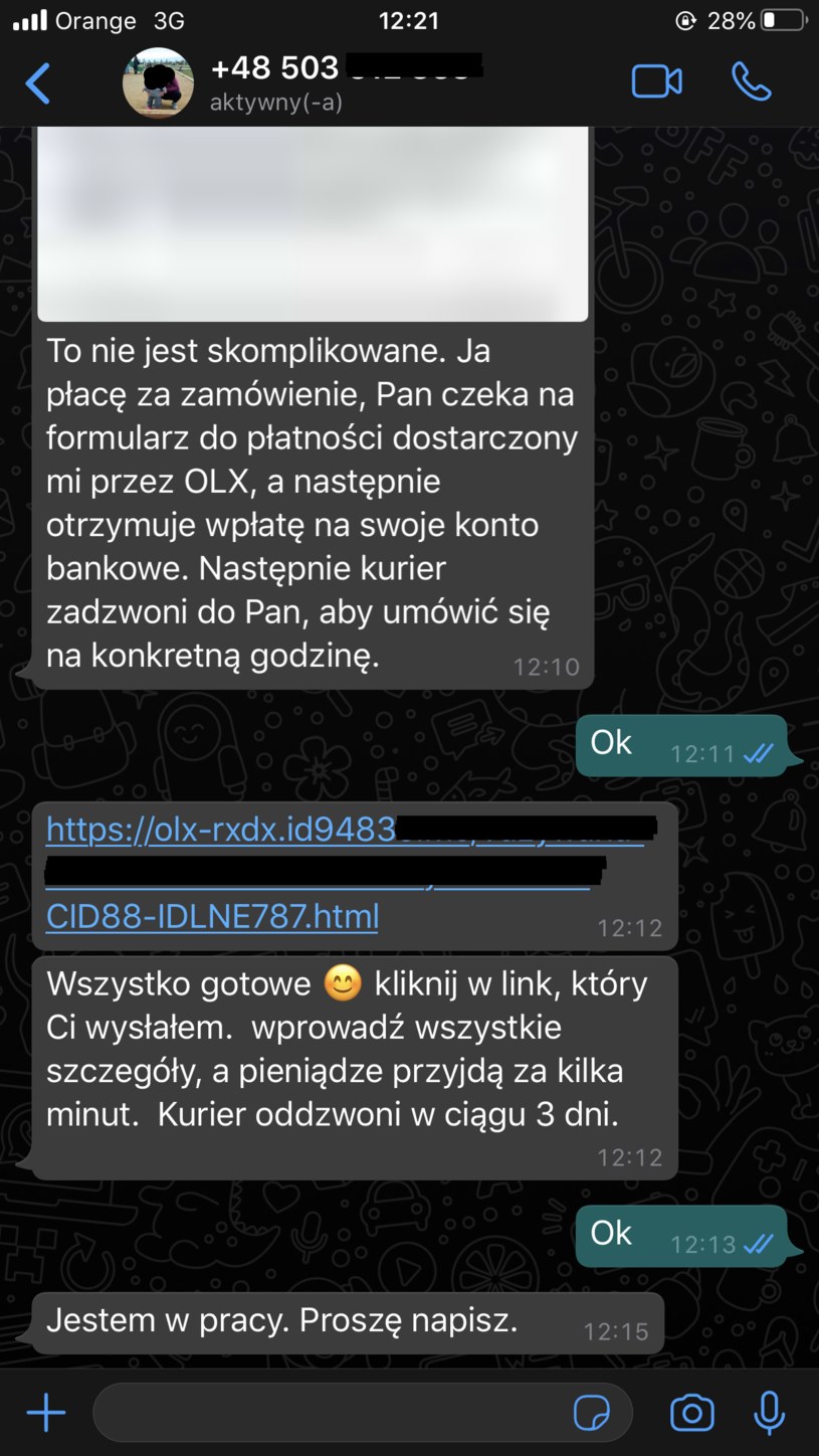 Wiadomości od internetowych złodziei /Interia.pl /INTERIA.PL