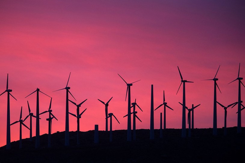Wiatr bije własne rekordy i daje więcej zielonej energii /AFP
