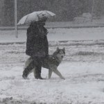 Wiatr do 100 km/h i opady. Czeka nas załamanie pogody