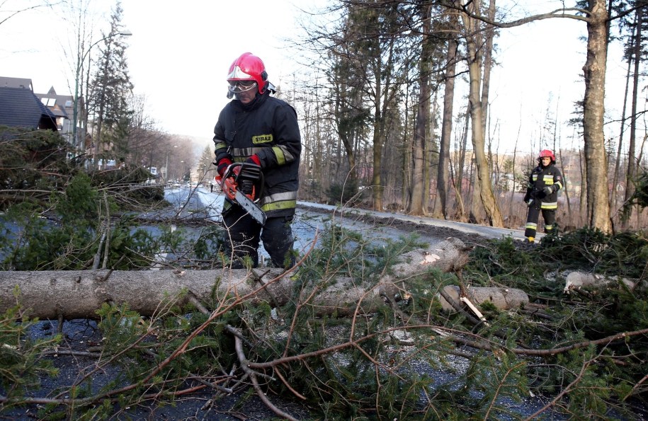 Wiatr może osiągać prędkość nawet do 100 km/h /Grzegorz Momot /PAP