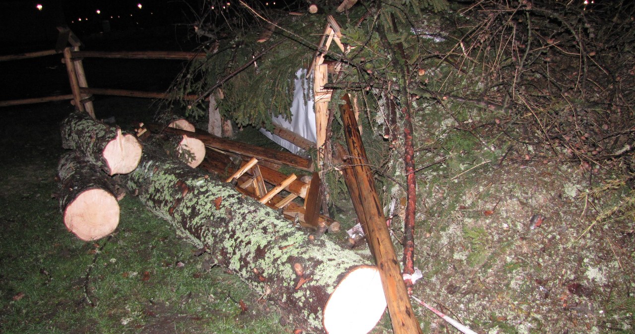 Wiatr przewrocił choinkę pod Oknem Papieskim w Krakowie