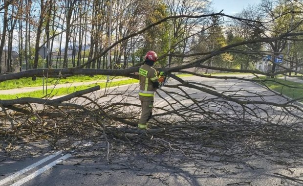 Wiatr uderzył z pełną mocą. Najbardziej poszkodowane 4 województwa