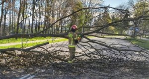 Wiatr uderzył z pełną mocą. Najbardziej poszkodowane 4 województwa
