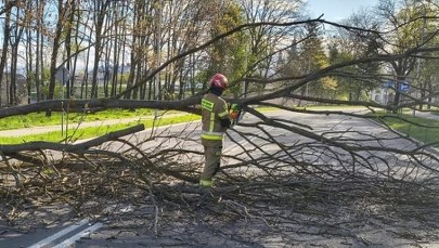 Wiatr uderzył z pełną mocą. Najbardziej poszkodowane 4 województwa