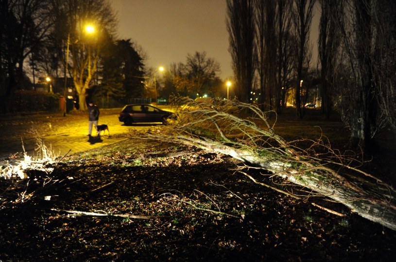Wiatr zrywał dachy i łamał drzewa /Marcin Bielecki /PAP
