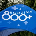 Wiatraczki i wata cukrowa za pieniądze z rezerwy budżetowej. Afera o pikniki 800 plus