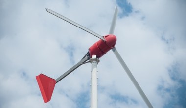 Wiatrak w ogródku? Można dostać niezłe pieniądze na instalację